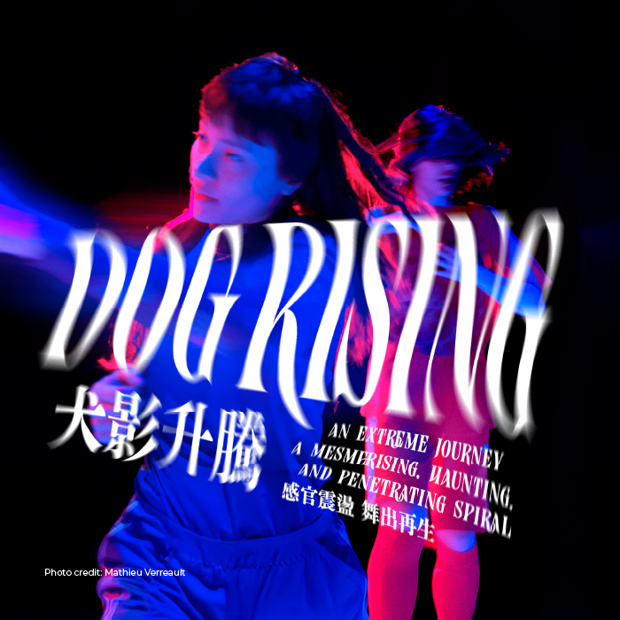 Dog Rising